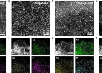 Researchers reveal mechanism for improving performance of single-atom catalyst for oxygen evolution reaction