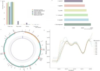 Researchers sequence genome of pointed-thighed turtle