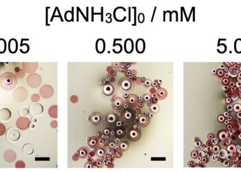 Researchers show how additives promote self-assembly of spherical microparticles