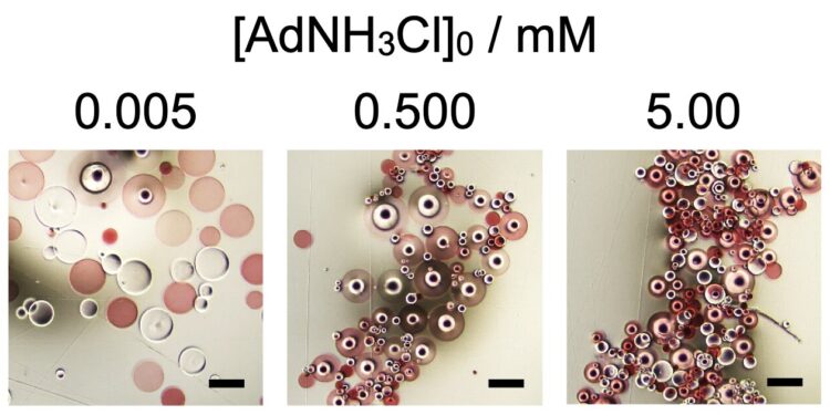 Researchers show how additives promote self-assembly of spherical microparticles