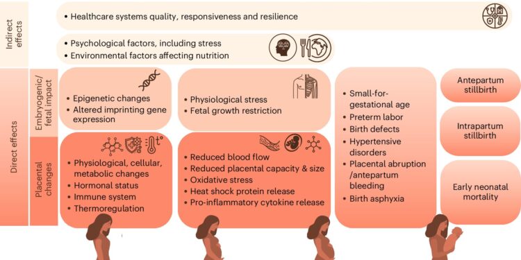 Rising temperatures in Africa could increase perinatal mortality