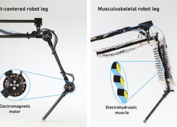 Robot leg powered by artificial muscles outperforms conventional designs