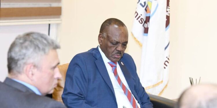 Russian delegation in Sudan to discuss use of technology in mining fields | Economy