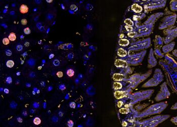 Scientists Discover Hidden Mutations in Non-Coding DNA