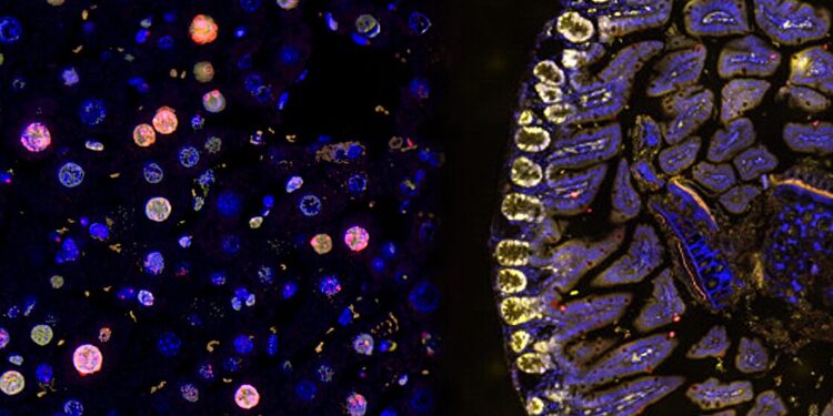 Scientists Discover Hidden Mutations in Non-Coding DNA