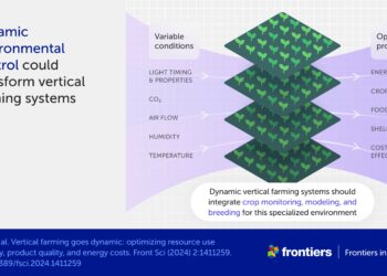 Scientists study how indoor vertical farming could help meet future food demand