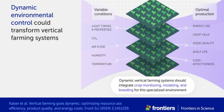 Scientists study how indoor vertical farming could help meet future food demand