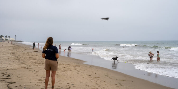 Scientists use drones to track white sharks along California beaches