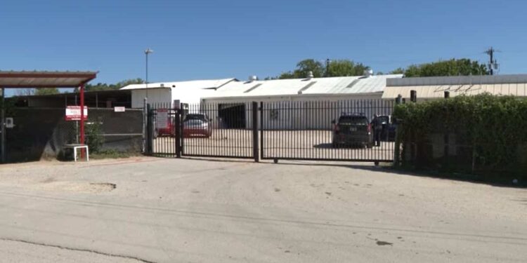 ‘She was crying, she was screaming’: Car towed with 5-year-old girl inside