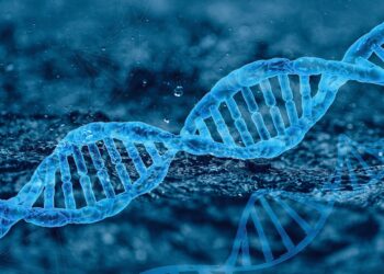 Single-dose gene therapy could change lives of adults with hemophilia B