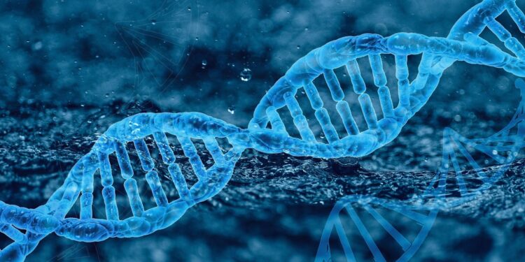 Single-dose gene therapy could change lives of adults with hemophilia B
