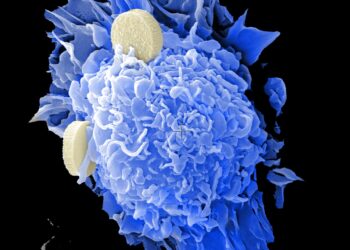 Small-molecule drug shows potential for hard-to-treat cancers