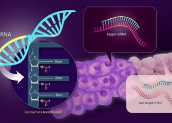 Solving the problem of side effects of siRNA-based drugs for the treatment of genetic diseases