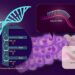 Solving the problem of side effects of siRNA-based drugs for the treatment of genetic diseases
