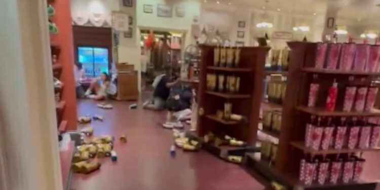 Stampede and tears: False active shooter alert creates panic at Disney World