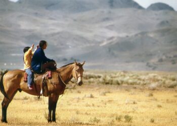 Streamlining energy regulations on Native American reservations could help reduce poverty