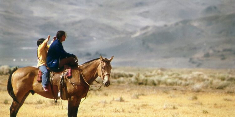 Streamlining energy regulations on Native American reservations could help reduce poverty