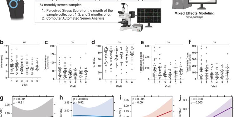 Stress-induced events boost sperm performance after the event has passed, study finds