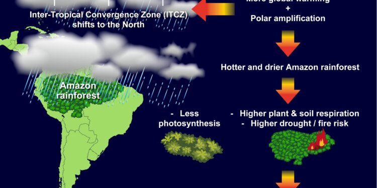 Study finds future climate change could reduce Amazon rainforest’s ability to act as carbon sink