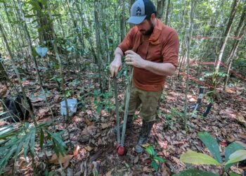 Study predicts increase in hydraulic failures in tropical regions