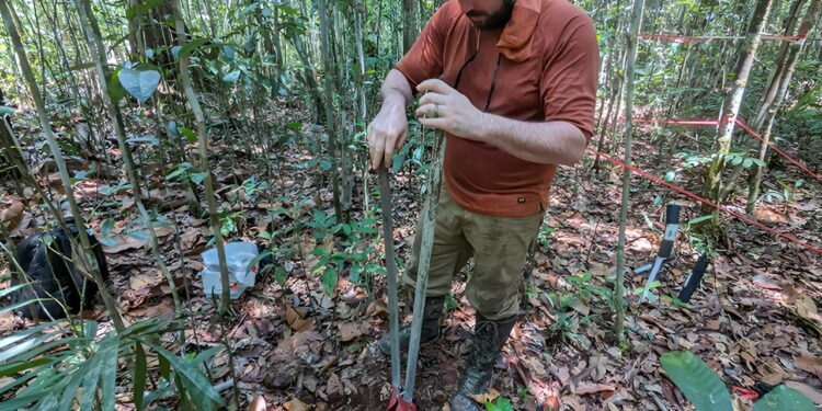 Study predicts increase in hydraulic failures in tropical regions