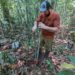 Study predicts increase in hydraulic failures in tropical regions