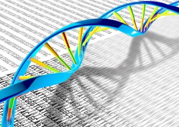 Study reveals new insights into genetics of intellectual disability: repetitive DNA