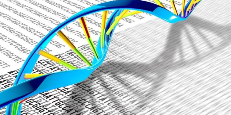Study reveals new insights into genetics of intellectual disability: repetitive DNA