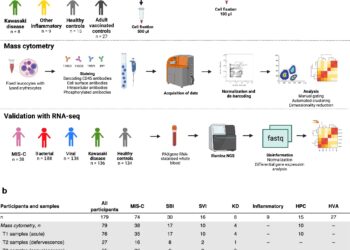 Study sheds new light on immune dysfunction in children with serious infections and inflammatory diseases