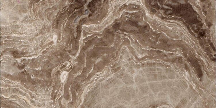 Study shows ancient reef-building stromatoporoids escaped extinction, at least temporarily