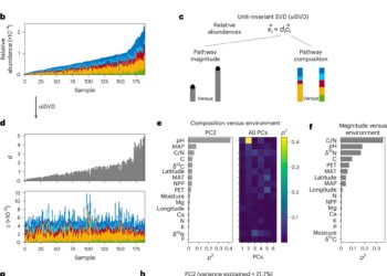 Study shows how bacteria work together to thrive in harsh conditions