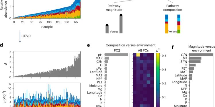 Study shows how bacteria work together to thrive in harsh conditions