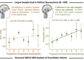 Study suggests political ideology is associated with differences in brain structure, but less than previously thought
