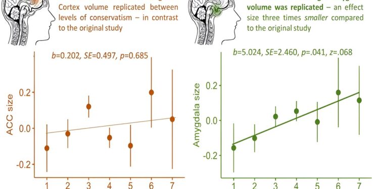 Study suggests political ideology is associated with differences in brain structure, but less than previously thought