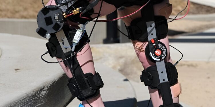 Team develops versatile knee exoskeletons for safer lifting