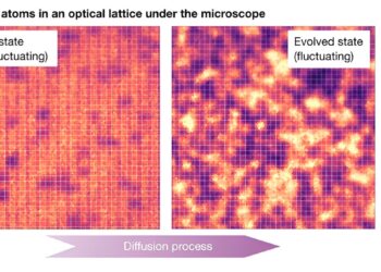 Team studies emergence of fluctuating hydrodynamics in chaotic quantum systems