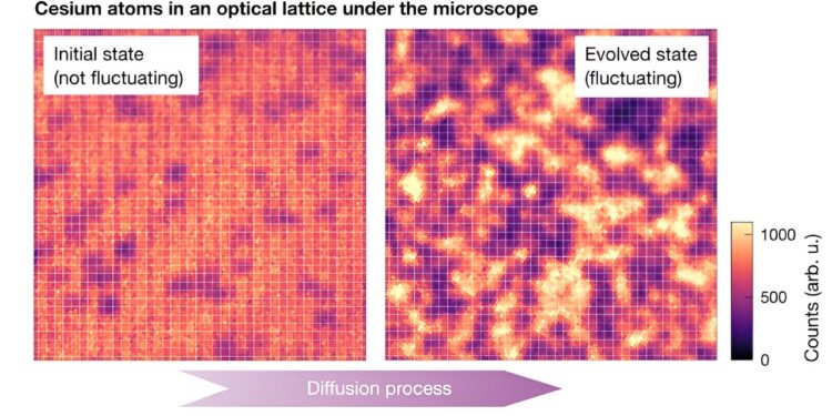 Team studies emergence of fluctuating hydrodynamics in chaotic quantum systems