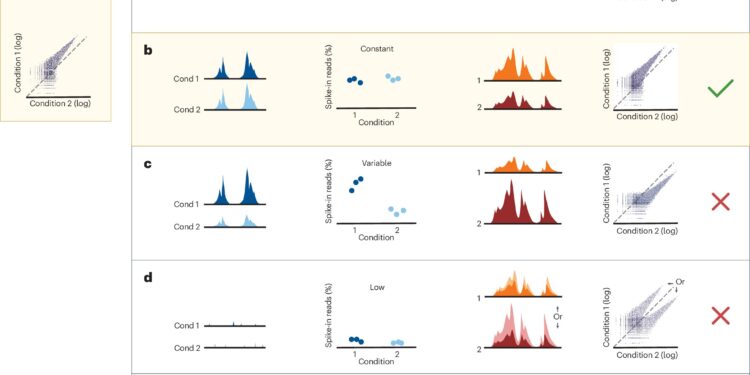 Technique for studying how proteins bind to DNA is often misused: Researchers propose a solution