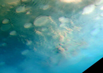 The Mars Cloud Atlas presents a series of atmospheric phenomena