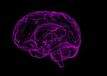 The region of the brain that controls eye movements also plays an important role in higher cognitive functions