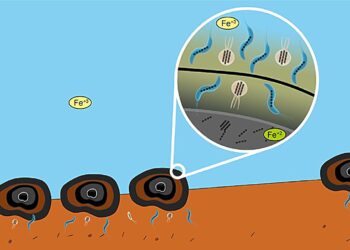 The unexpected role of magnetic microbes in deep-sea mining