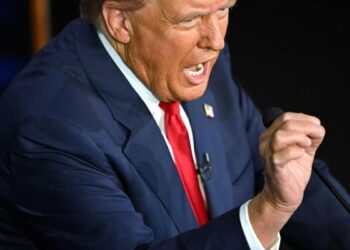 “They eat dogs”: the instigators of the false rumor found