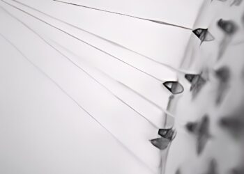Transforming artificial spider silk into next-generation medical materials
