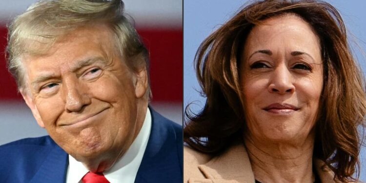 Trump-Harris debate: huge challenge for fact-checkers