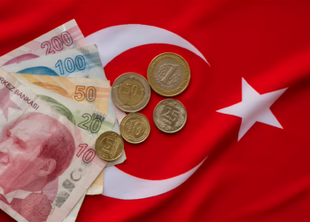 Turkey’s sovereign wealth fund mulls selling Islamic bonds | Economy