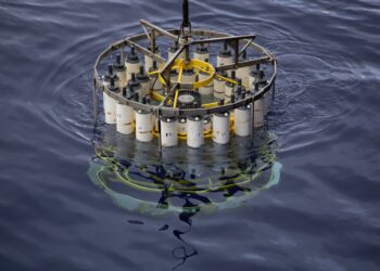 Unexpected Deep-Sea Discovery Sheds Light on Life in the Twilight Zone