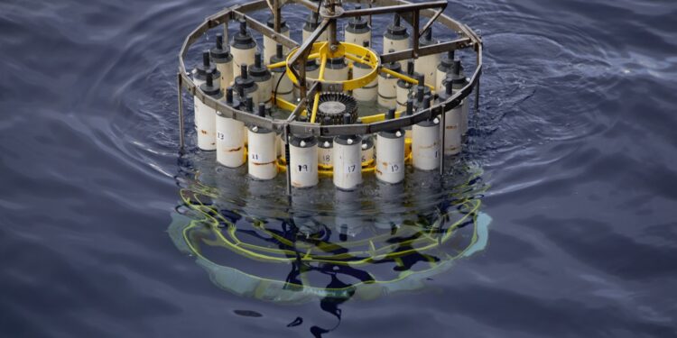 Unexpected Deep-Sea Discovery Sheds Light on Life in the Twilight Zone