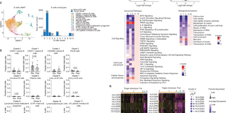 Vaccine experts report positive results from phase 1 trial of personalized lymphoplasmacytic lymphoma vaccine