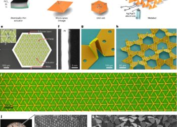 Versatile microscale robots can bend into 3D shapes and crawl