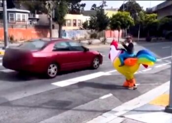 Watch out for the chicken! Disguised cop catches offending drivers